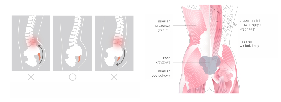 poduszka lędźwiowa