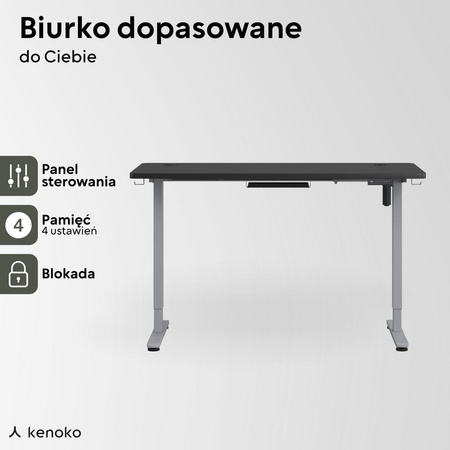 Biurko elektryczne czarny/szary IBUKI, 160x80 cm