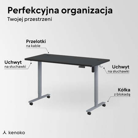 Biurko elektryczne czarny/szary IBUKI, 160x80 cm